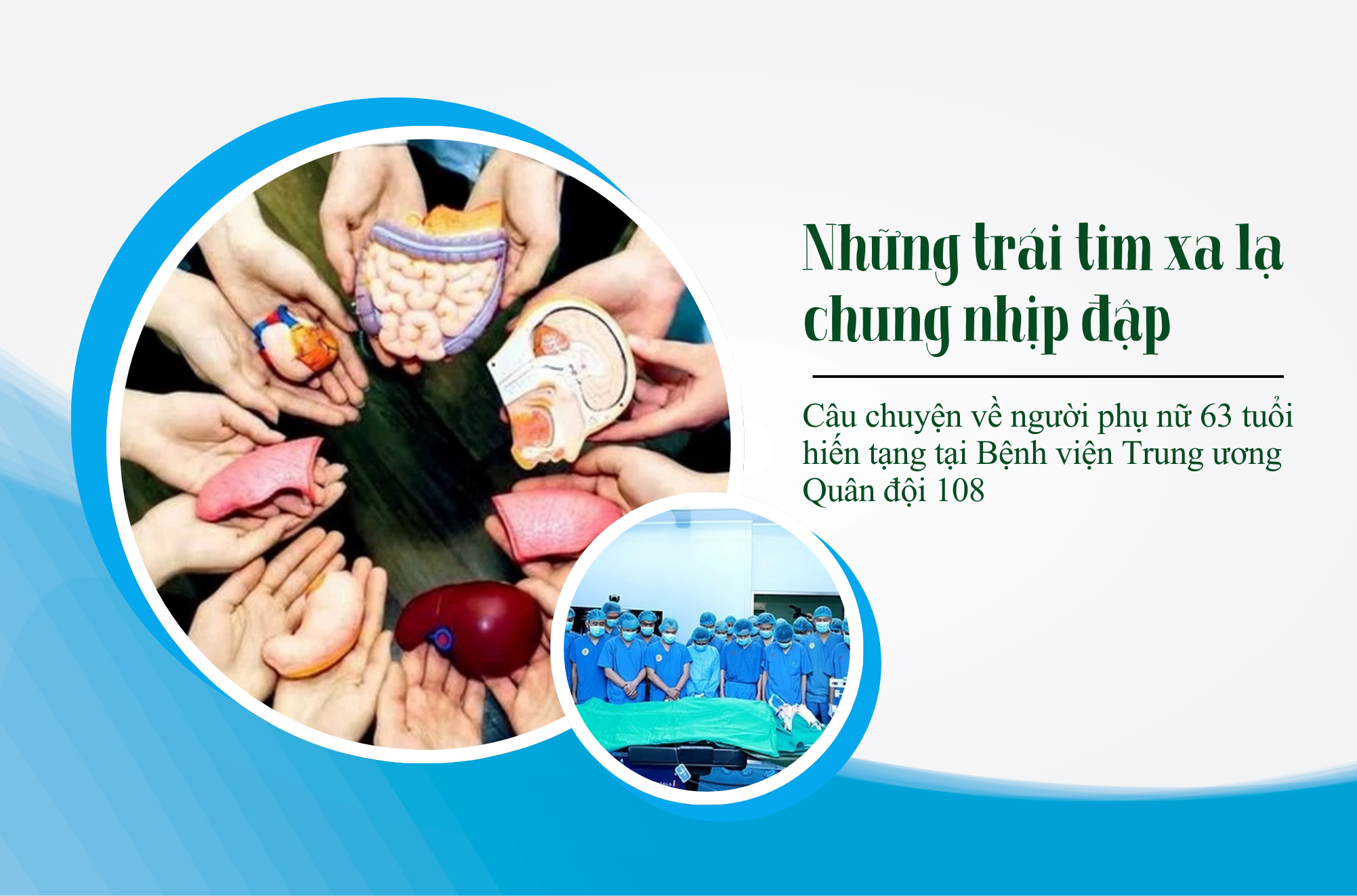 Những trái tim xa lạ chung nhịp đập