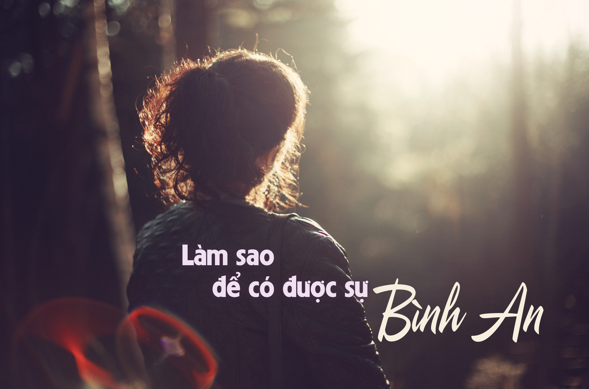 Làm sao để có được sự bình an?