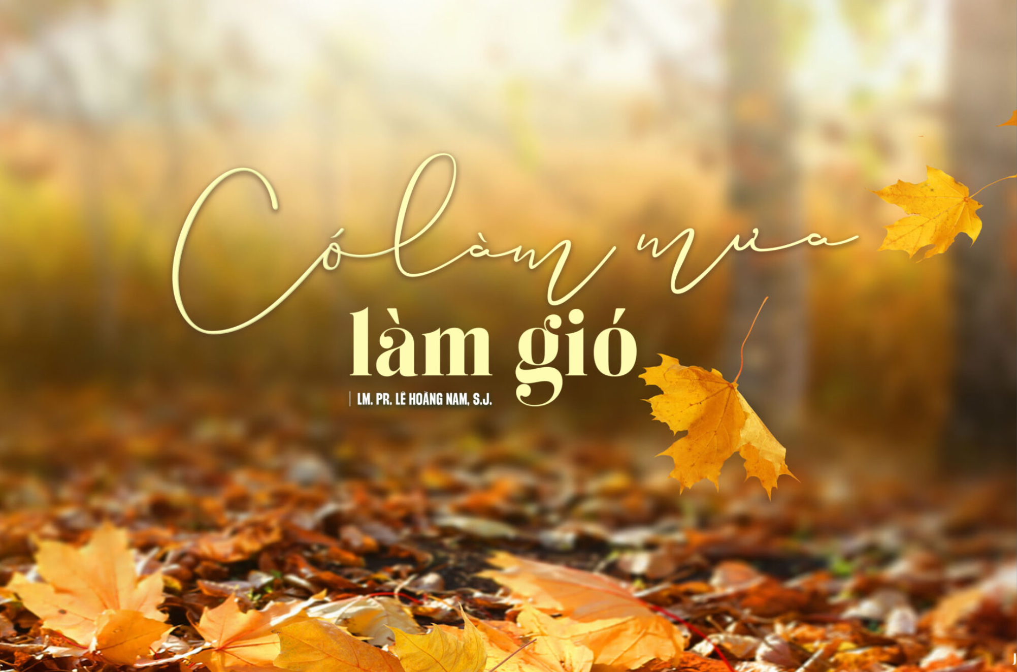 “co lam mua lam gio”