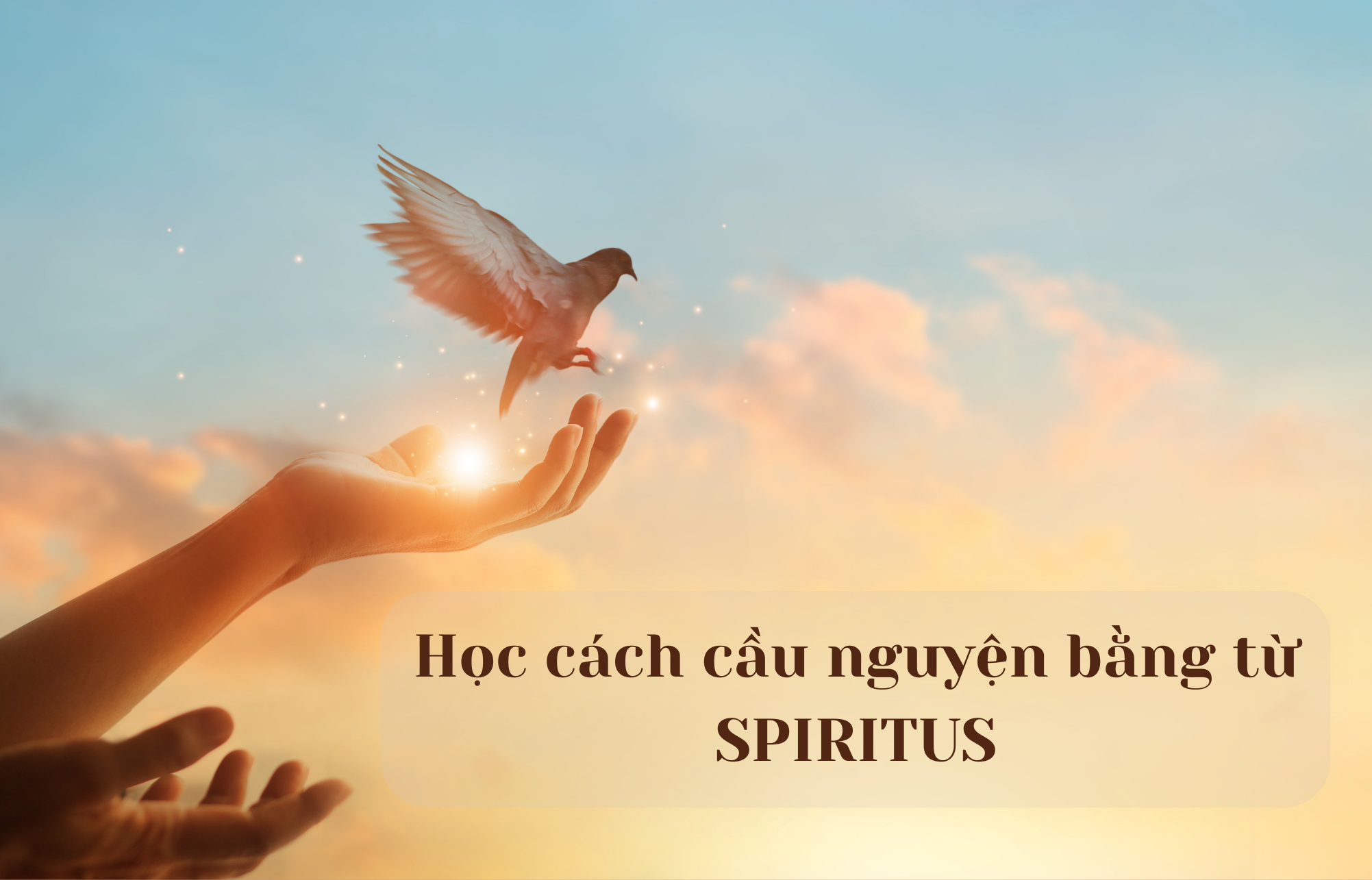 Học cách cầu nguyện bằng từ SPIRITUS