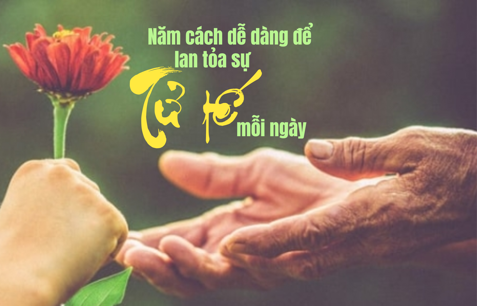 Năm cách dễ dàng để lan tỏa sự tử tế mỗi ngày