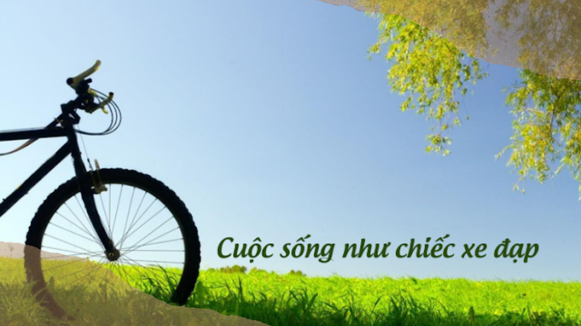 Cuộc sống như chiếc xe đạp