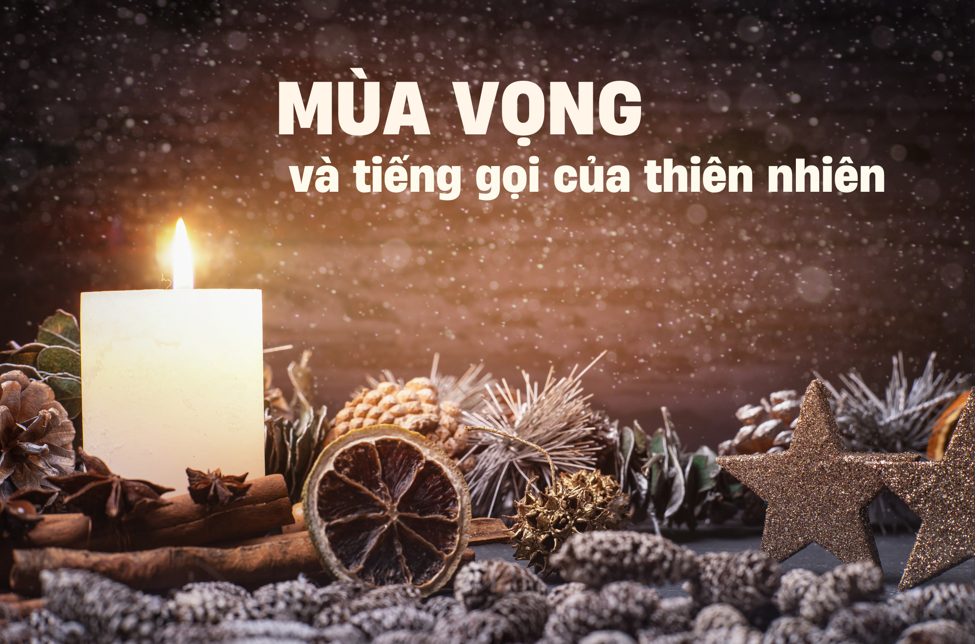 Mùa Vọng và tiếng gọi của thiên nhiên