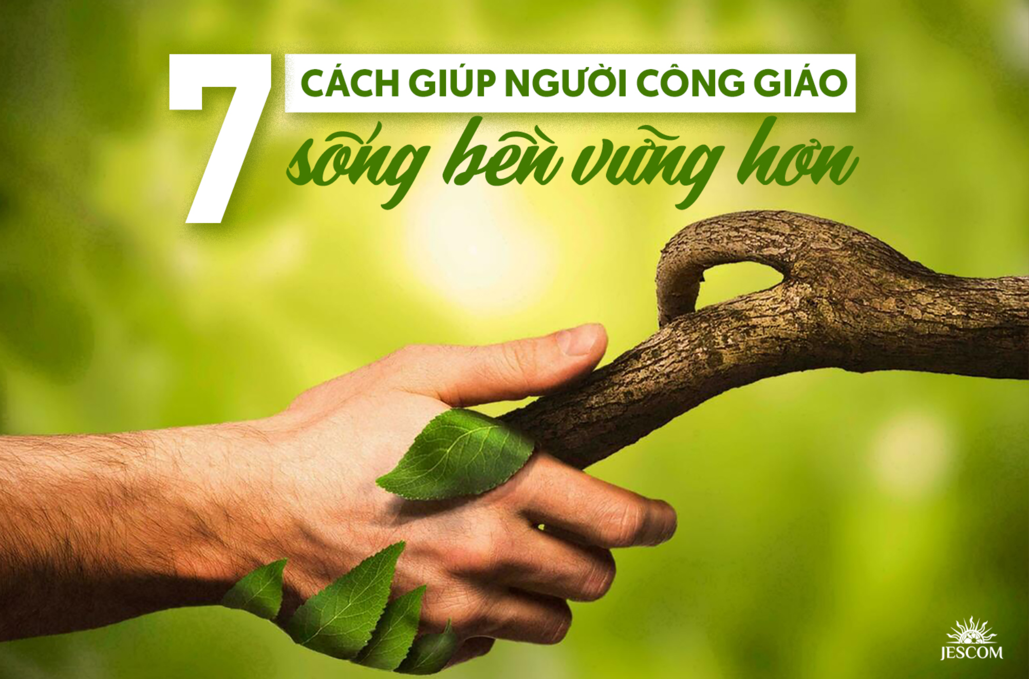 7 cách giúp người Công giáo thực hành lối sống bền vững hơn trong năm 2025