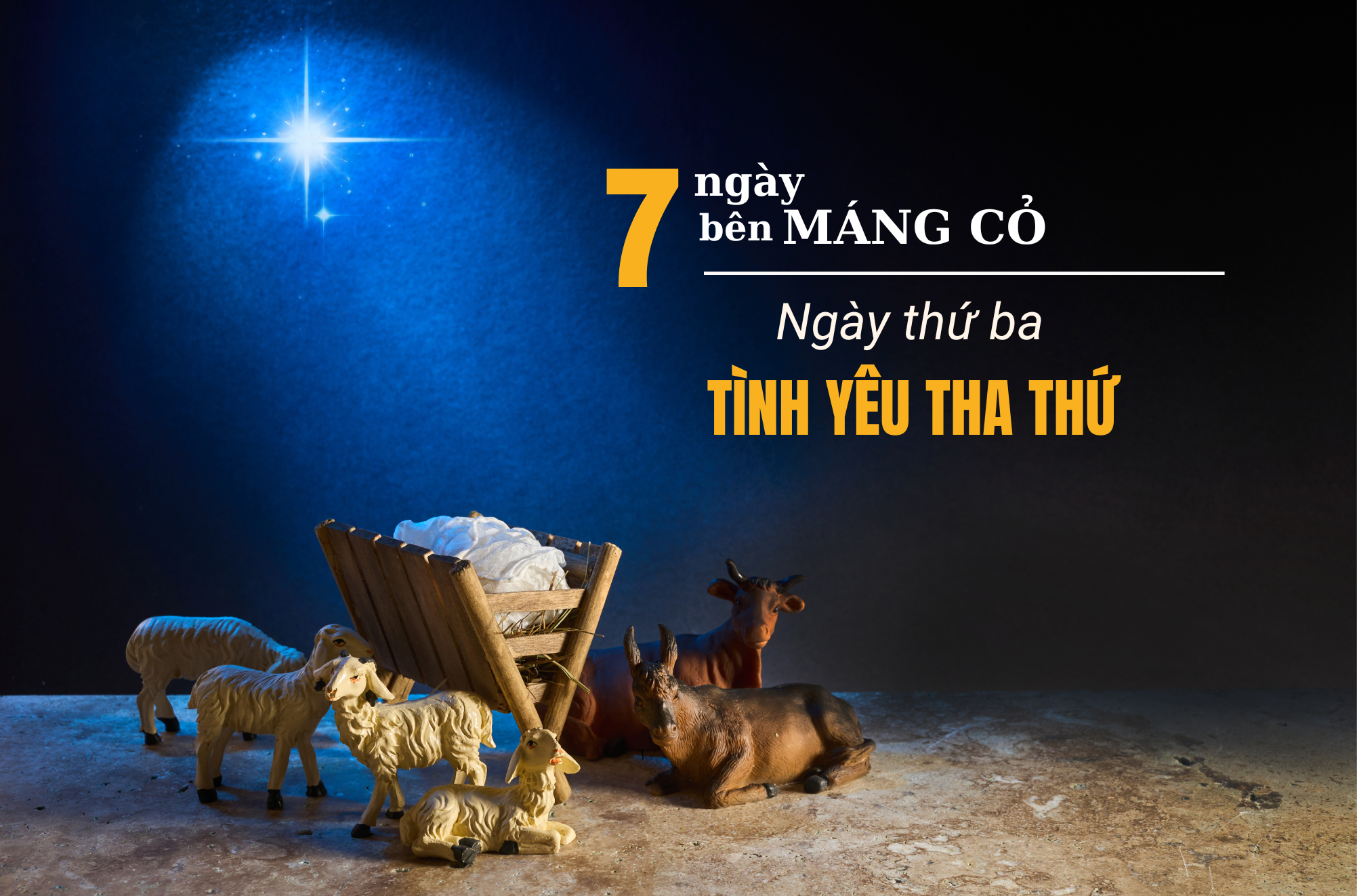 Bảy ngày bên Máng Cỏ - Ngày thứ ba: TÌNH YÊU THA THỨ