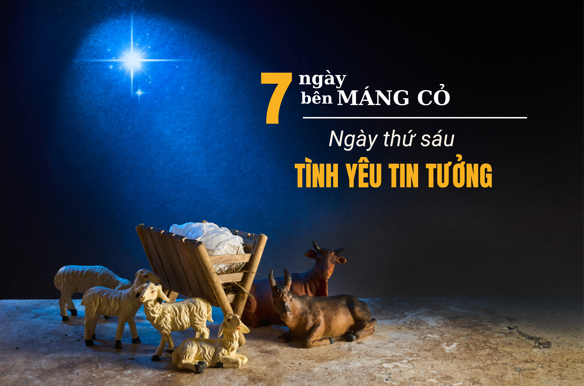 Bảy ngày bên Máng Cỏ - Ngày thứ sáu: TÌNH YÊU TIN TƯỞNG