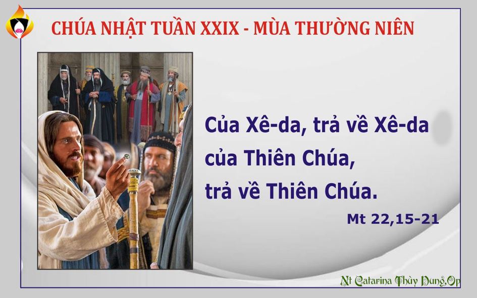 Suy niệm Tin Mừng Chúa Nhật XXIX TN - A (Sr Thùy Dung)