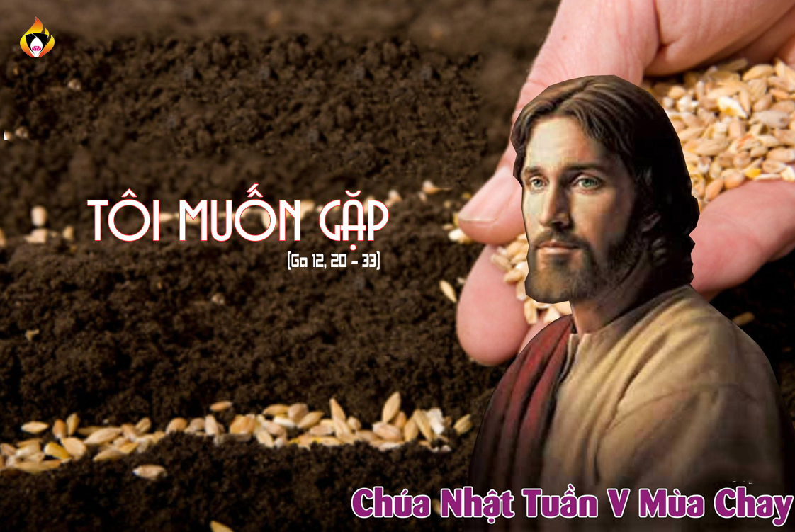 Suy niệm Tin Mừng Chúa Nhật V Mùa Chya - B (Sr Thùy Dung)