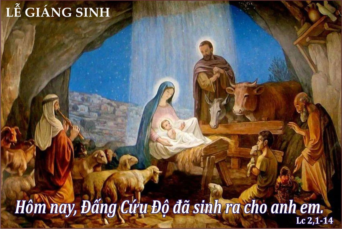 Suy niệm Tin Mừng lễ Đêm Giáng Sinh (Sr Thùy Dung)