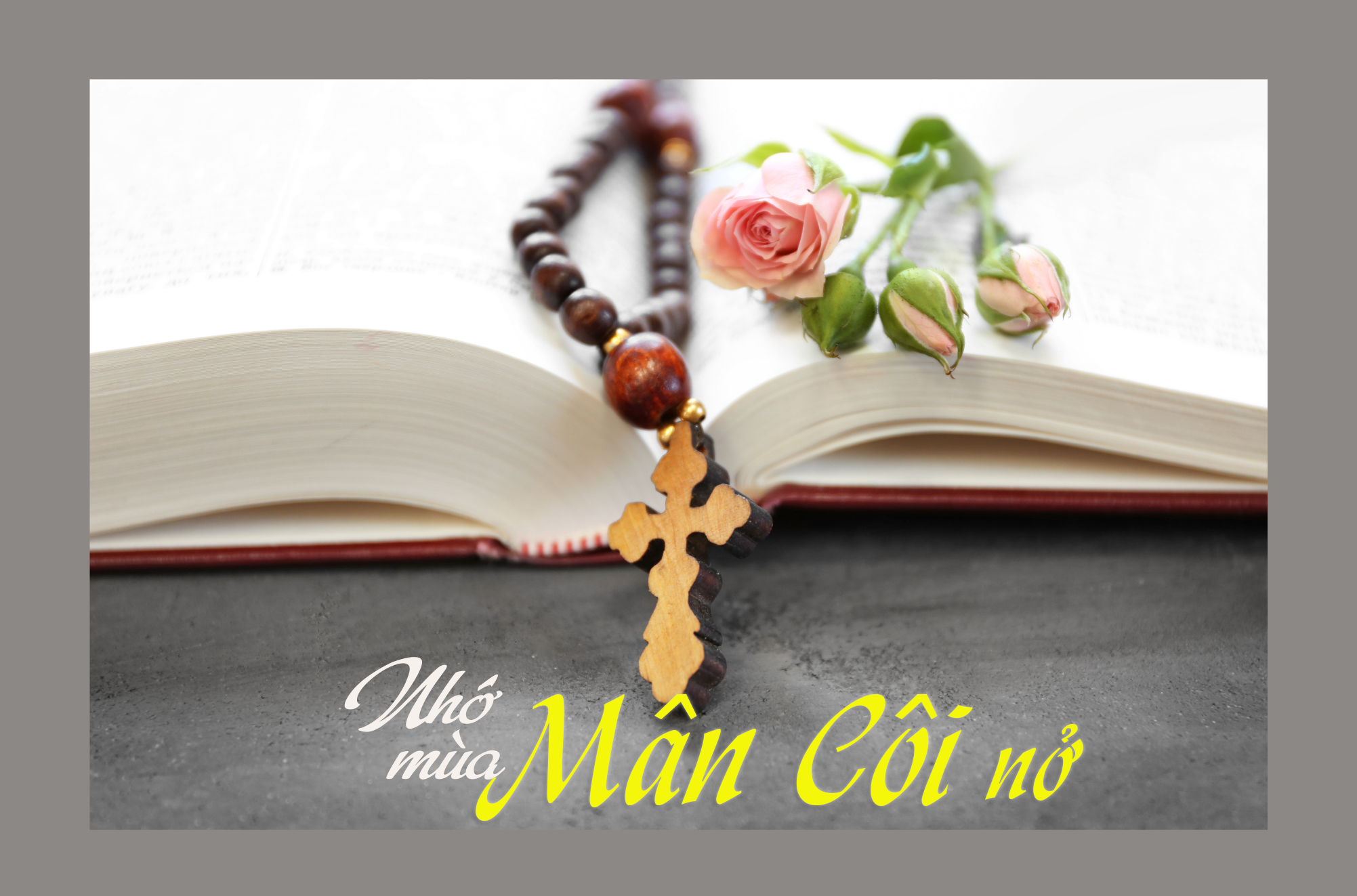 Nhớ mùa Mân Côi nở