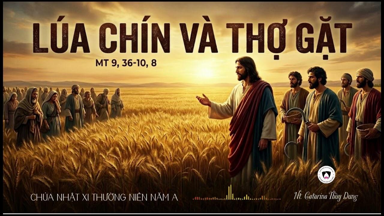 Chia sẻ Tin Mừng Chúa Nhật XI Thường Niên Năm A