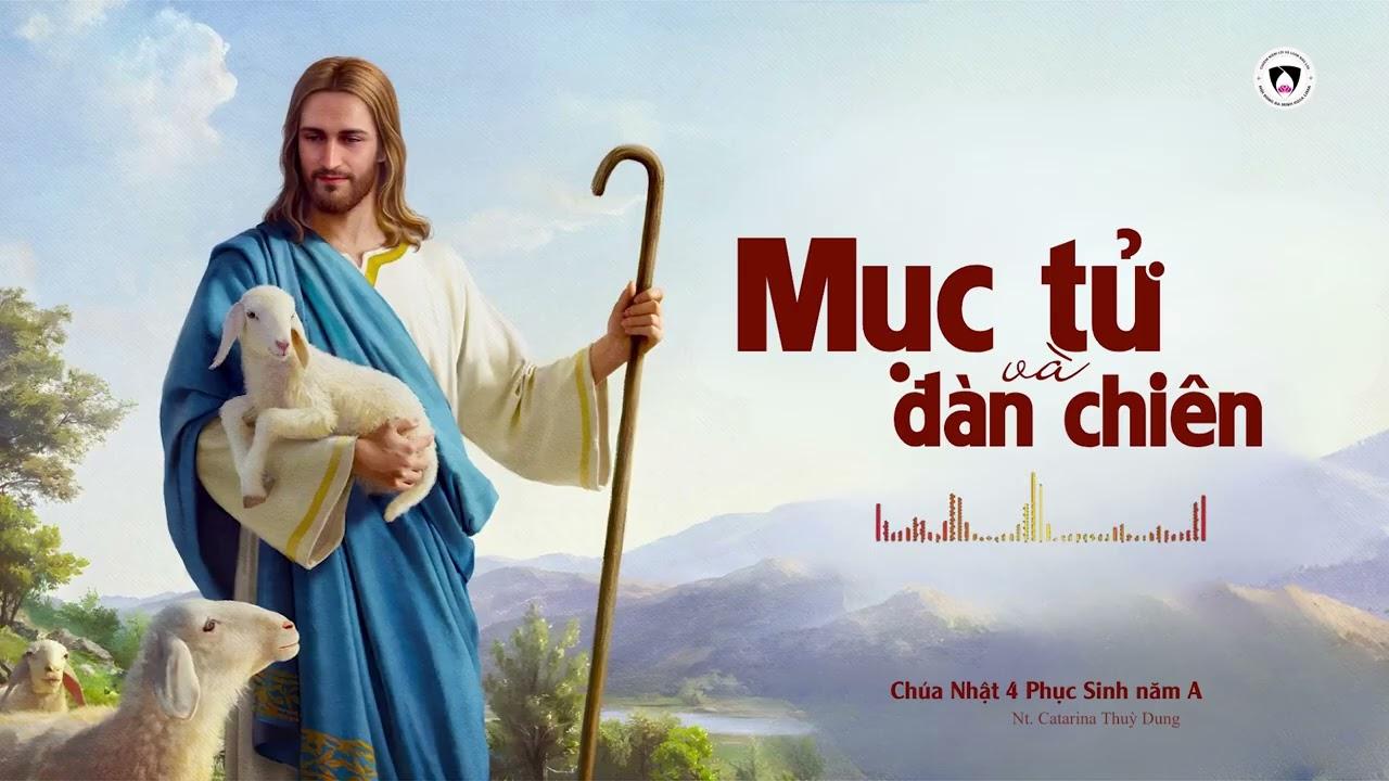 Chia sẻ Tin Mừng Chúa Nhật 4 Phục Sinh năm A