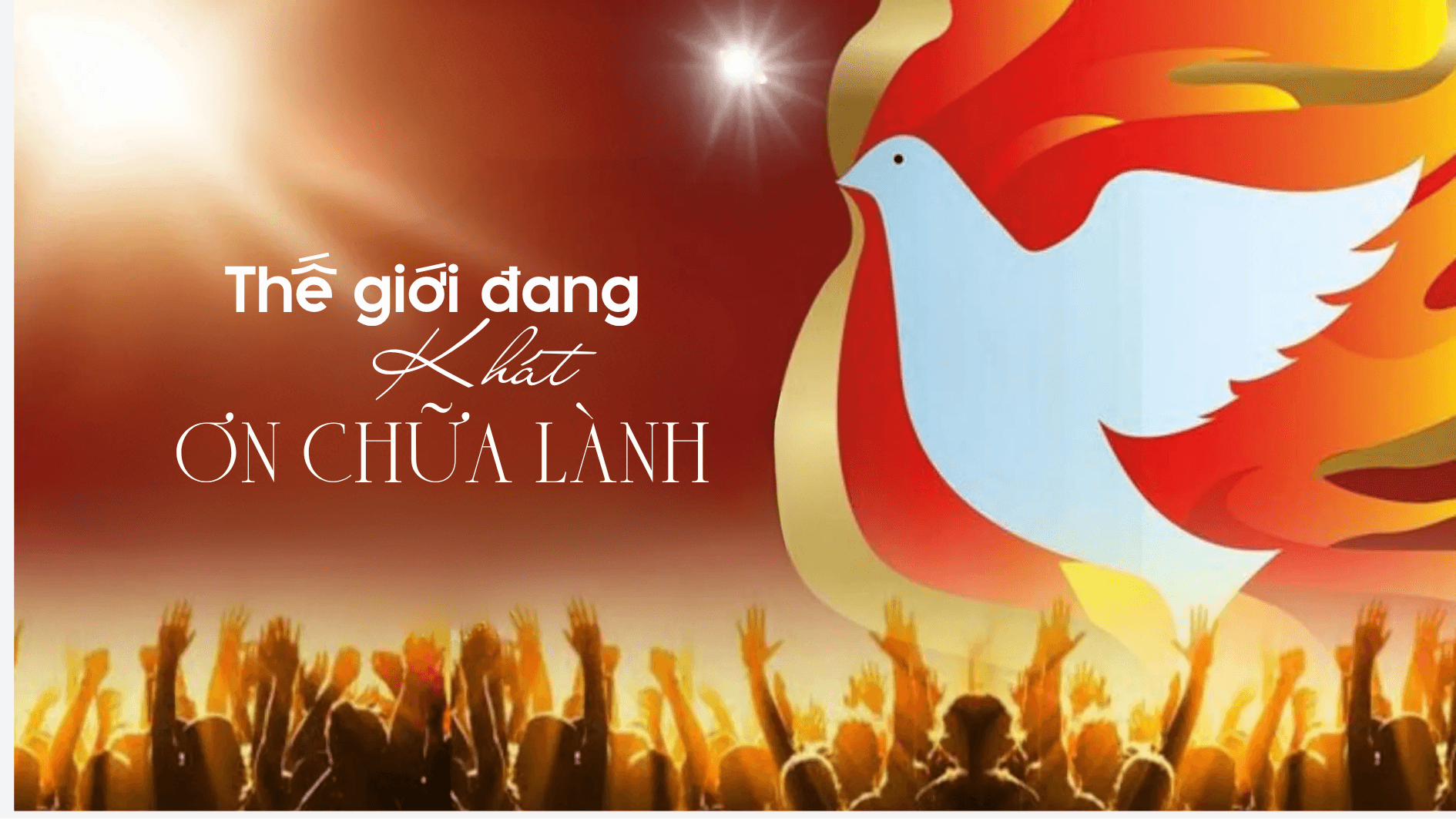 Thế giới đang "khát" ơn chữa lành