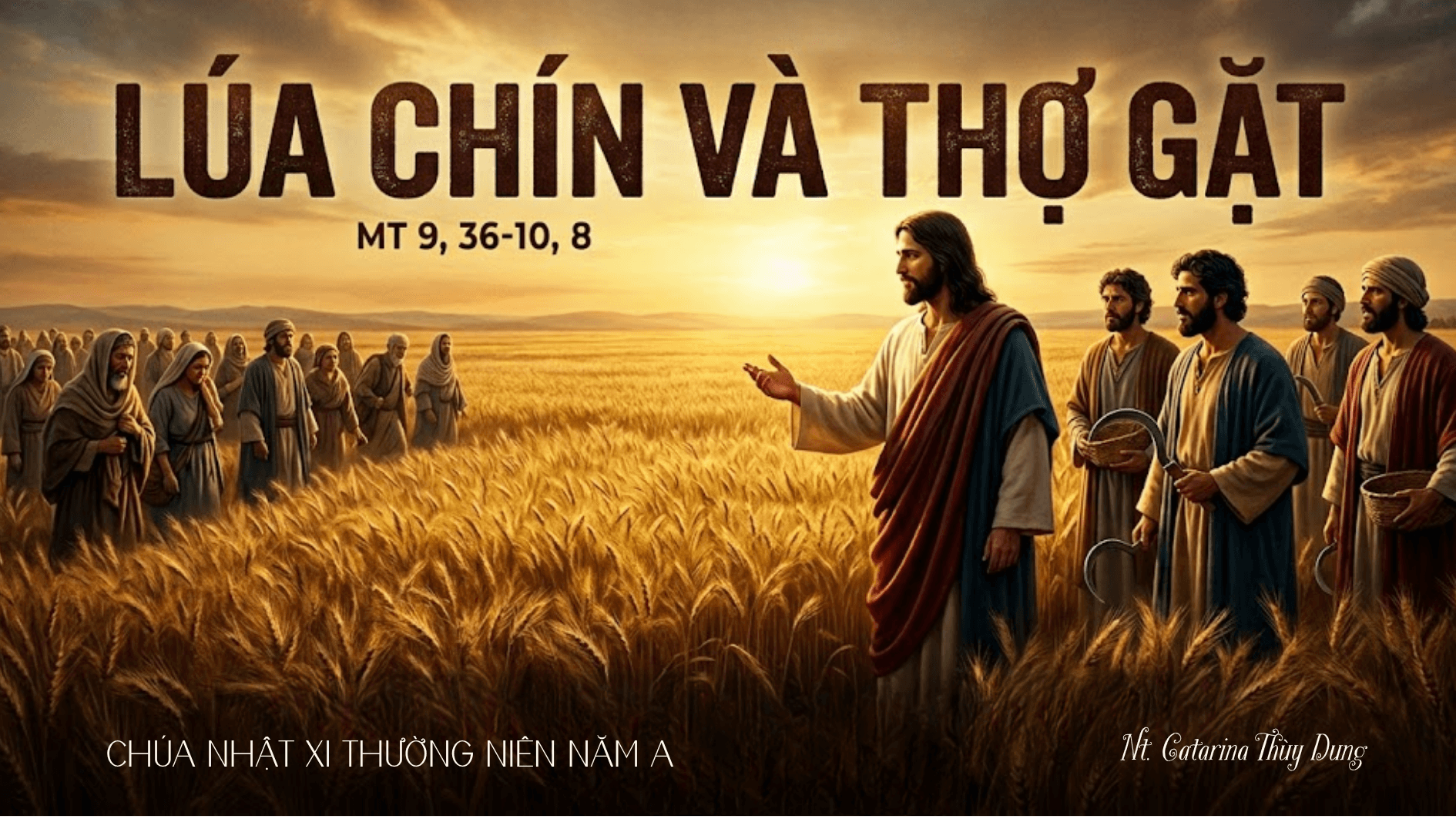 Lúa chín và thợ gặt: Chúa Nhật XI thường niên năm A