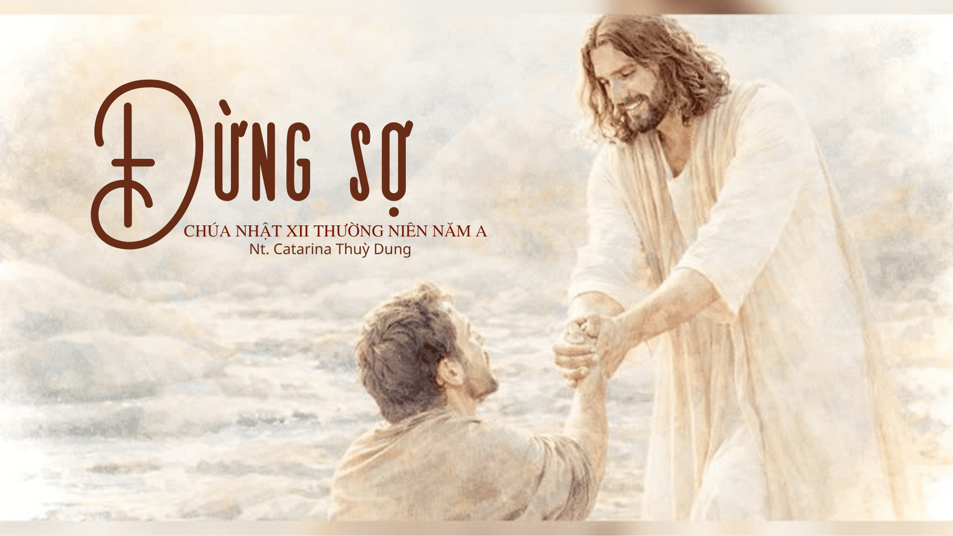 Đừng sợ: Chúa Nhật XII Thường niên năm A (Sr. Thuỳ Dung)