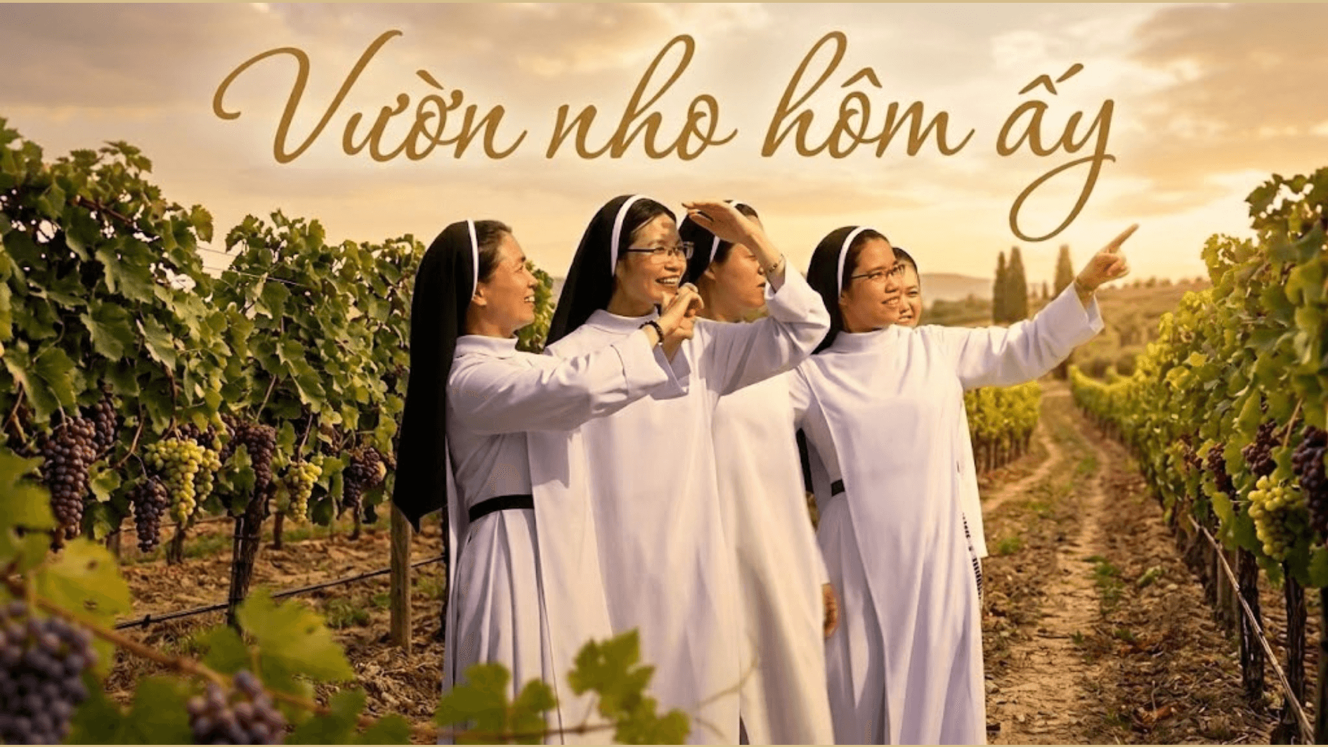 Vườn nho hôm ấy