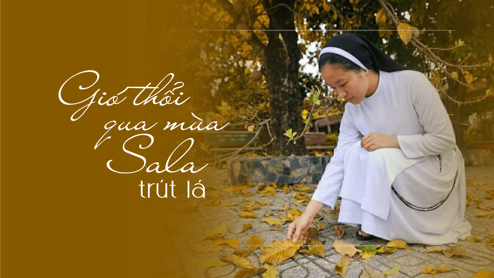 Gió thổi qua mùa sala trút lá