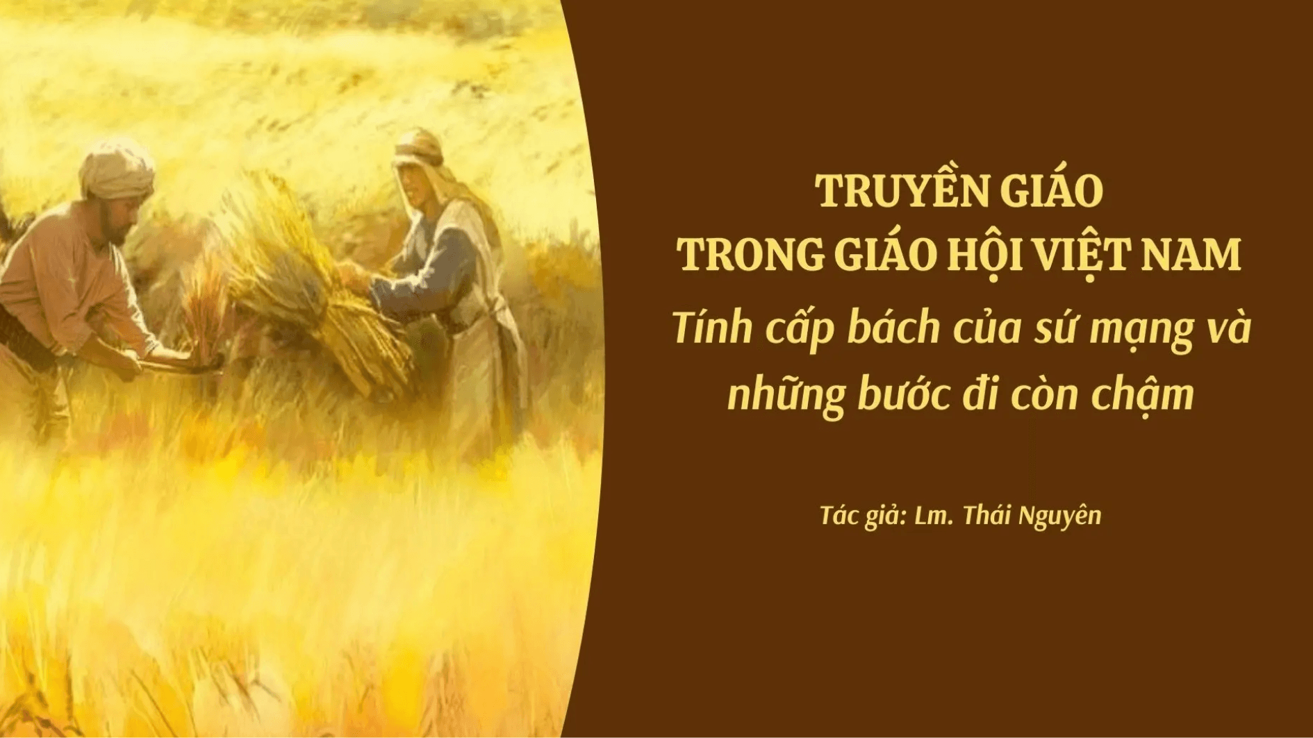 Truyền giáo trong Giáo hội Việt Nam - Tính cấp bách của sứ mạng và những bước đi còn chậm