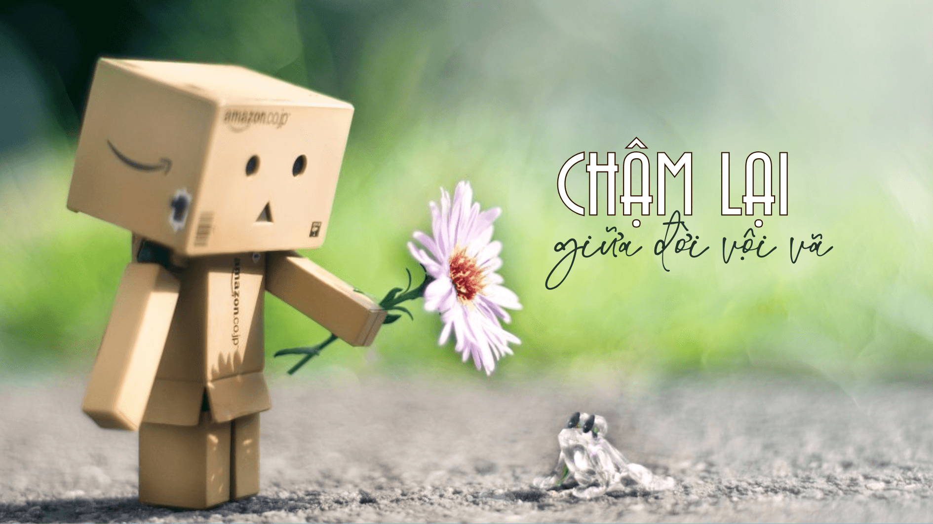 Chậm lại giữa đời vội vã 