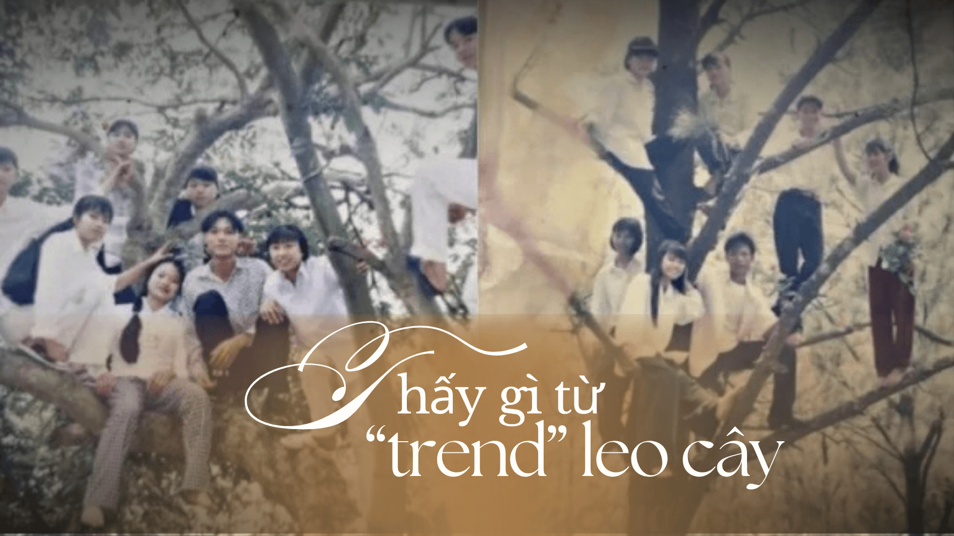 Thấy gì từ “trend” leo cây?