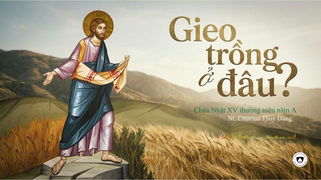 Chia sẻ Tin Mừng Chúa Nhật XV thường niên năm A