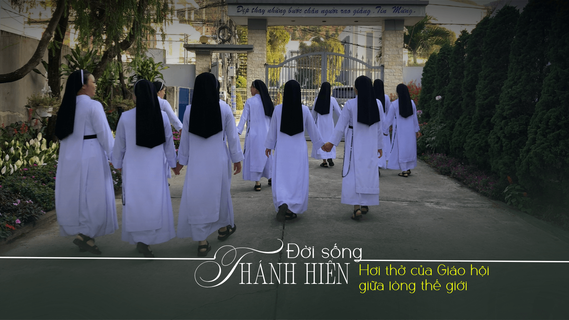 Đời sống Thánh hiến: Hơi thở của Giáo hội giữa lòng thế giới
