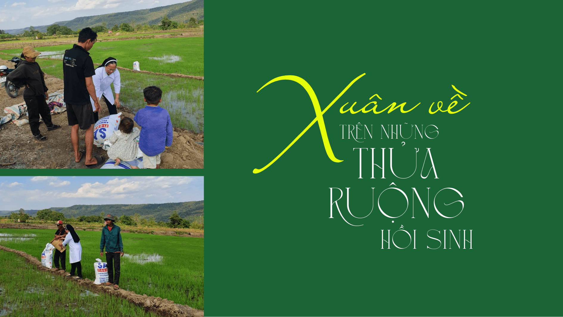 Xuân về trên những thửa ruộng hồi sinh