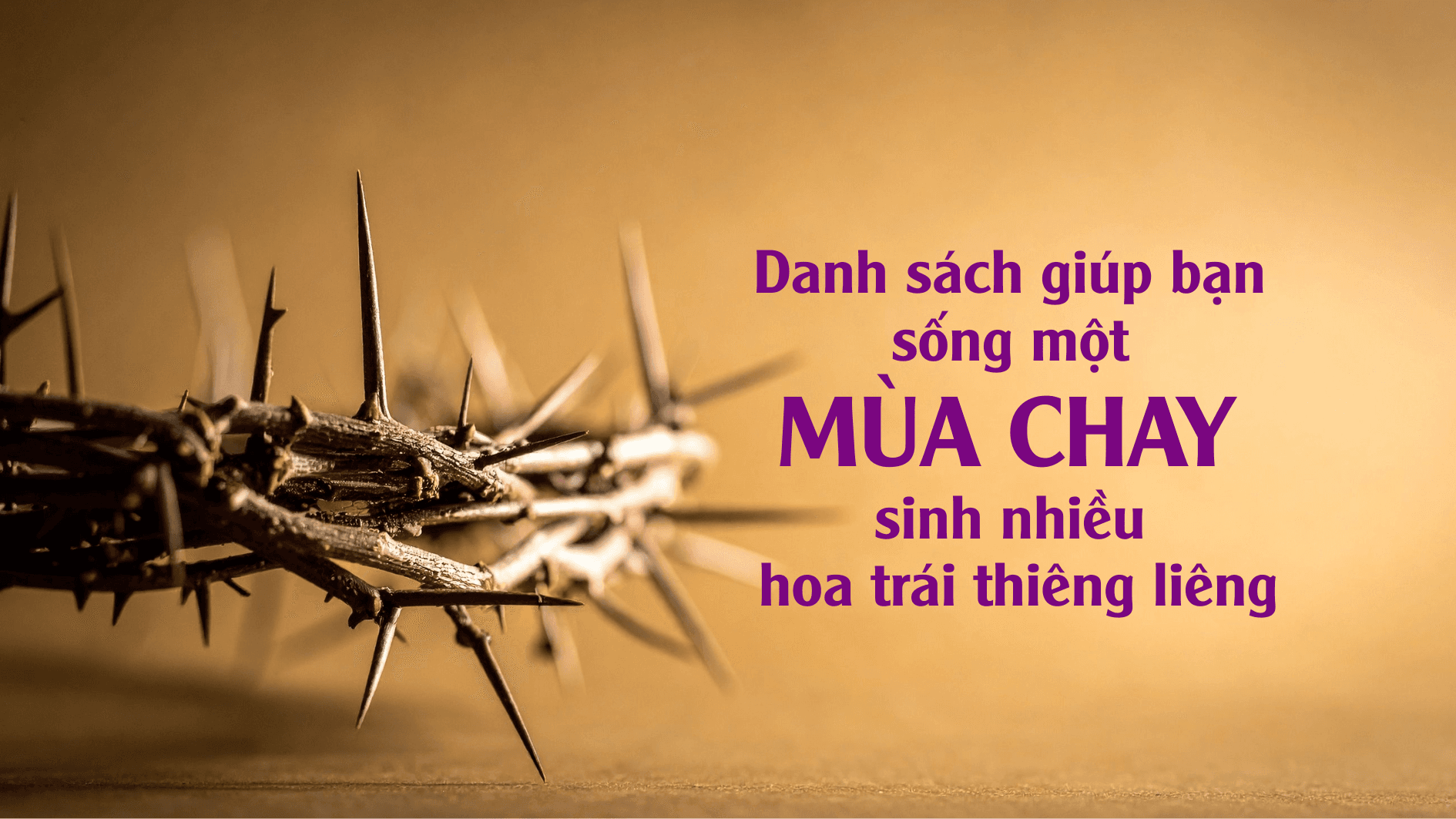 Danh sách giúp bạn sống một Mùa Chay sinh nhiều hoa trái thiêng liêng