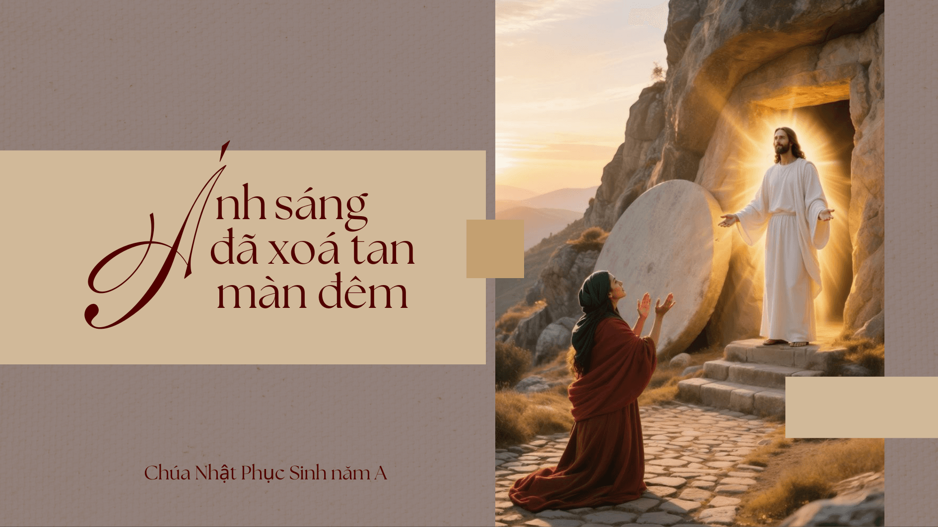 Ánh sáng đã xoá tan màn đêm