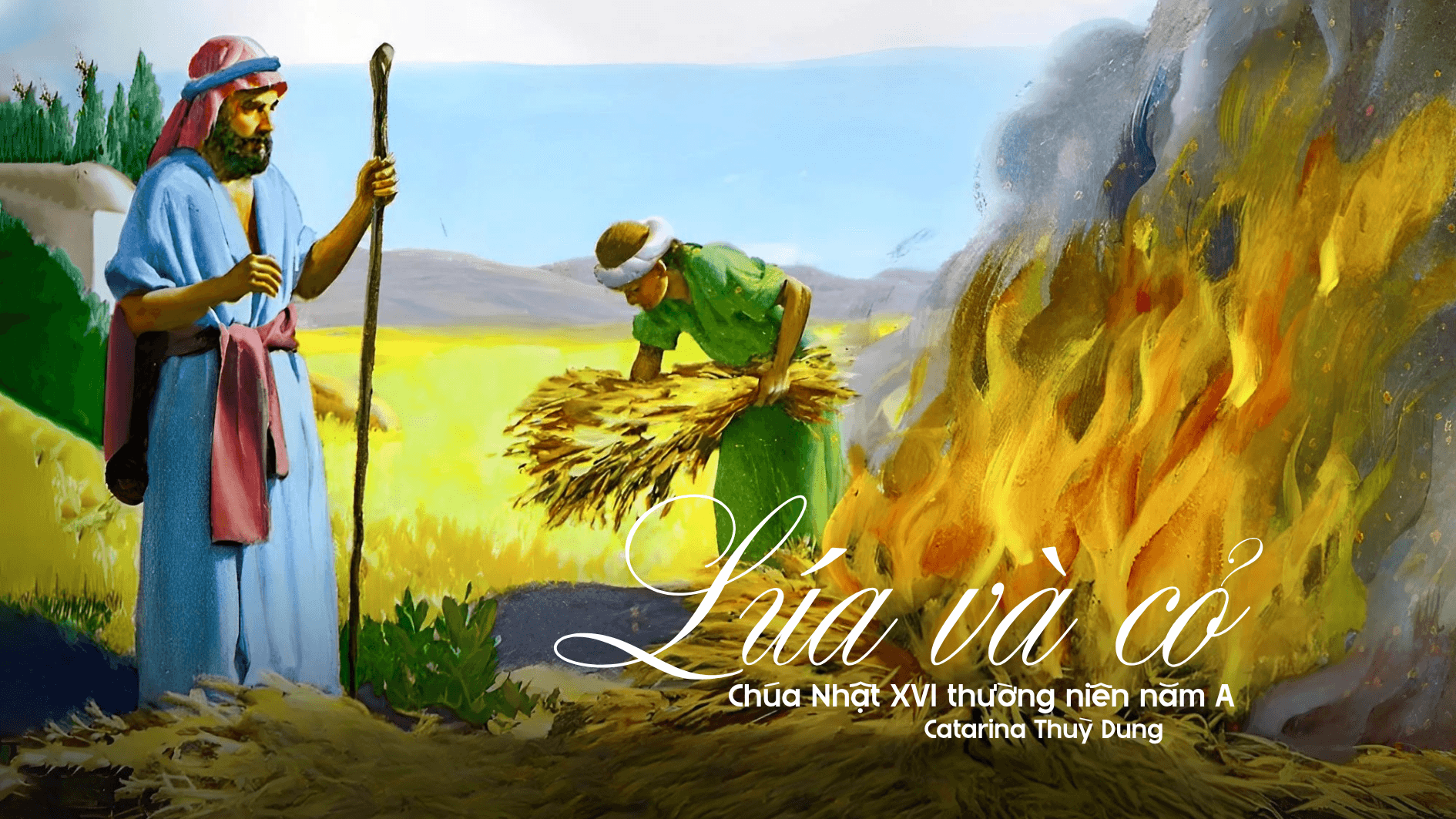 Lúa và cỏ: Chúa Nhật XVI thường niên năm A