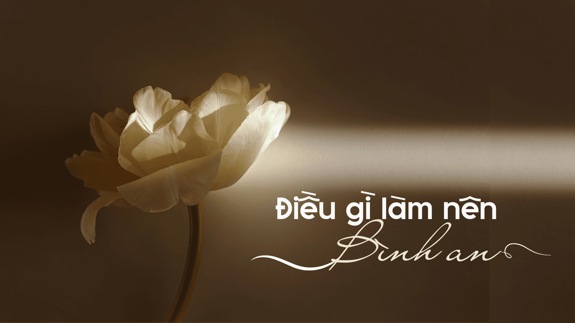 Điều gì làm nên bình an