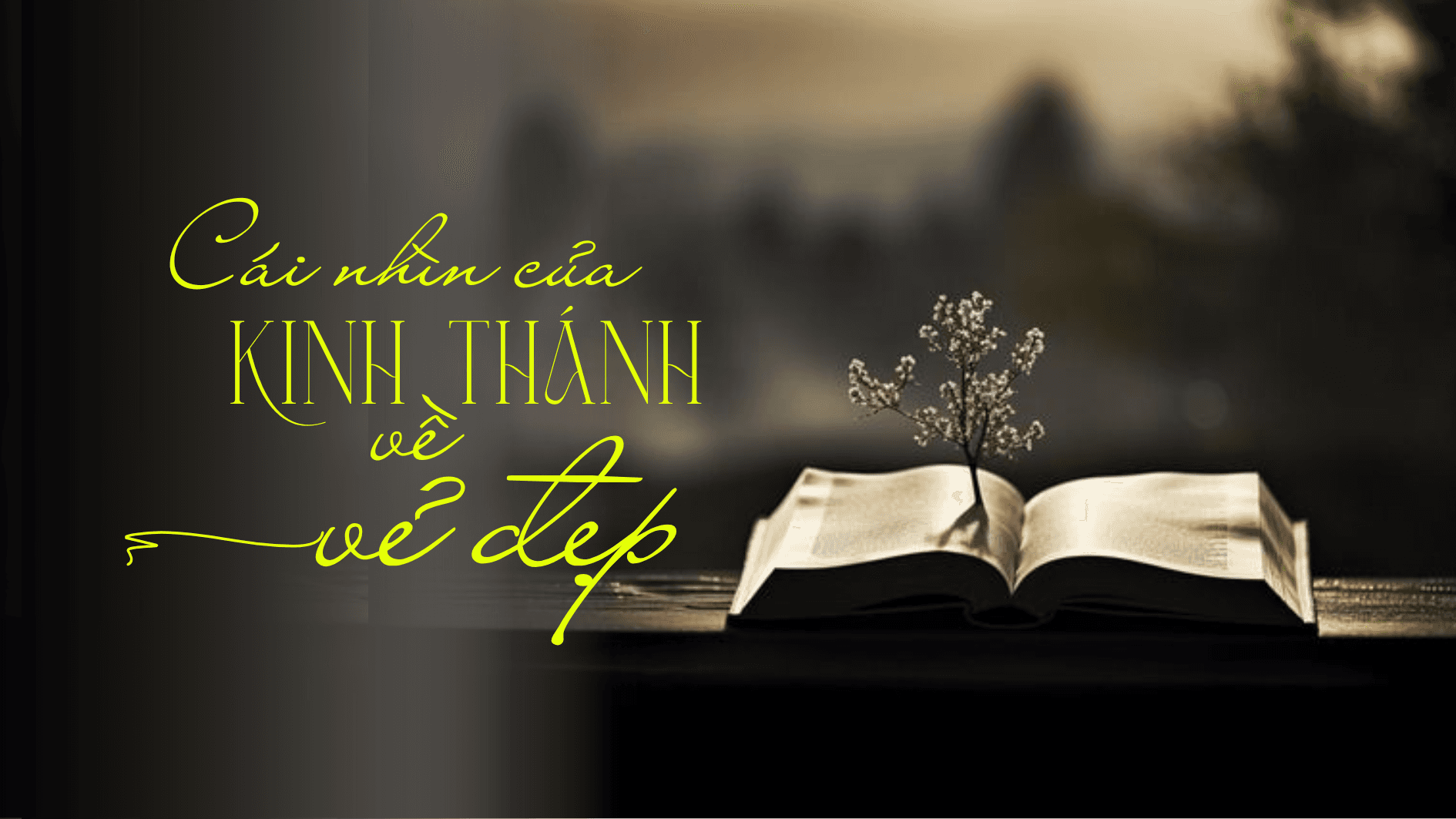 Cái nhìn của Kinh Thánh về vẻ đẹp