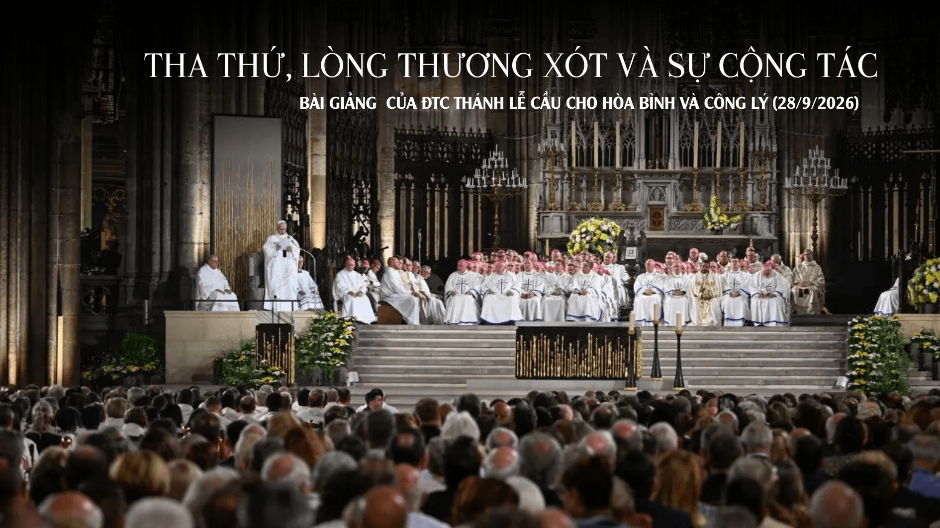 Tha thứ, lòng thương xót và sự cộng tác | Bài giảng Thánh lễ cầu cho hòa bình và công lý