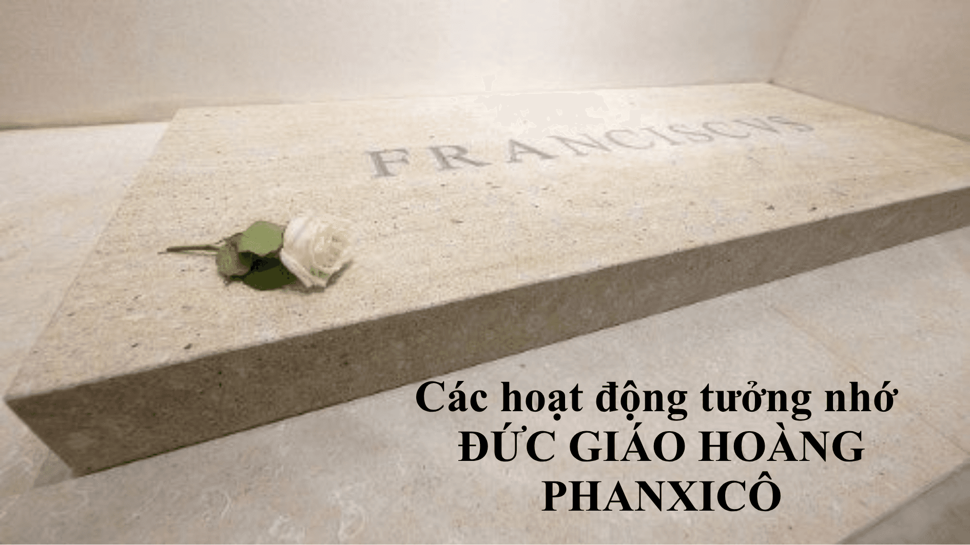 Các hoạt động tưởng nhớ Đức Giáo hoàng Phanxicô