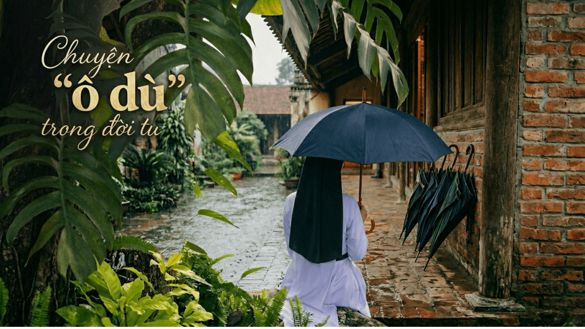 Chuyện "ô dù" trong đời tu