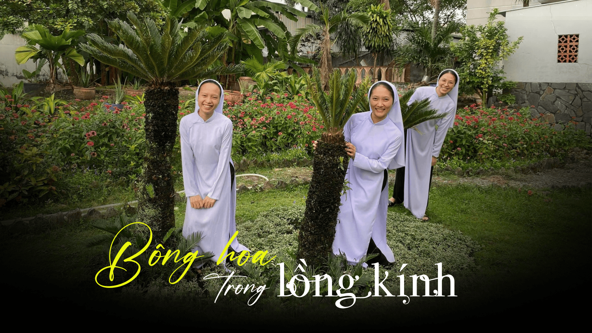 Bông hoa trong lồng kính