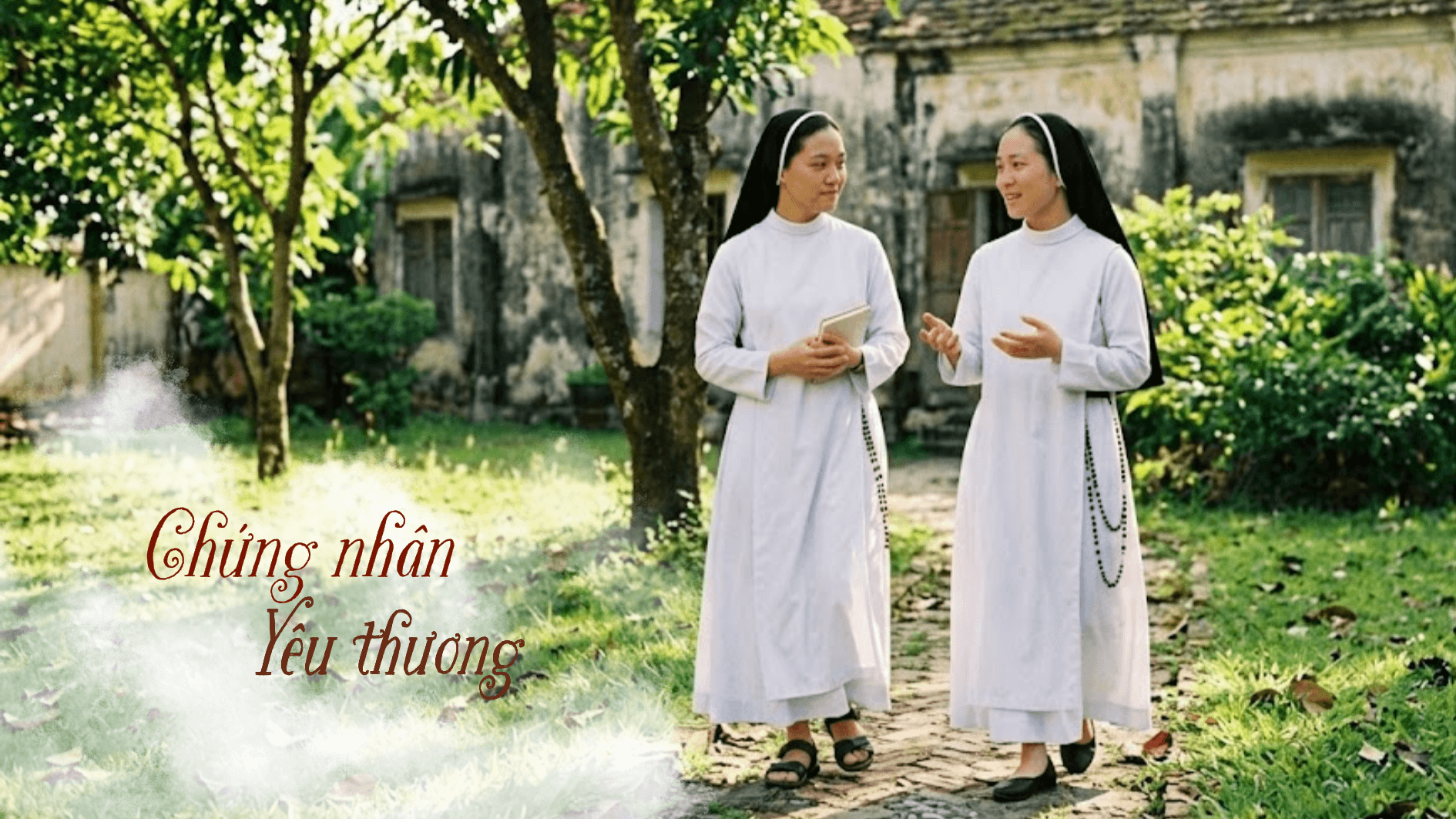 Chứng nhân yêu thương